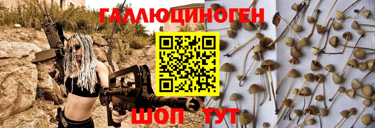 Апатиты  Псилоцибиновые грибы GOLDEN TEACHER  Псилоцибиновые грибы Magic Shrooms  Вход с VPN 
